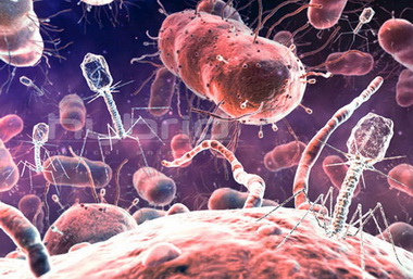 Микробы-мутанты - настоящая угроза человечеству
