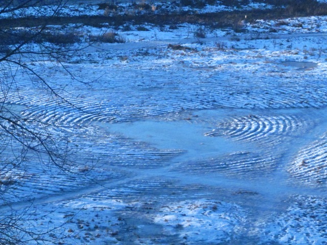 Космопоиск изучает загадочные пензенские круги на снегу 
