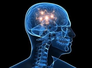 Электрическая стимуляция мозга улучшает память и управляет поведением