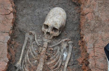 Рядом с Аркаимом раскопали скелет с вытянутым черепом