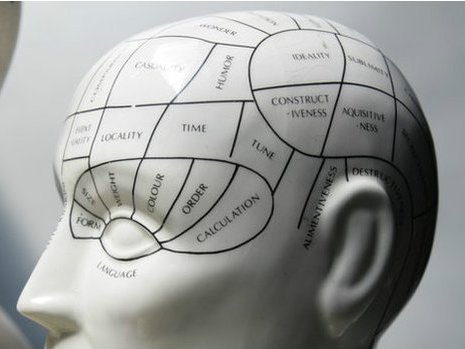Френология: Изучение личности по голове