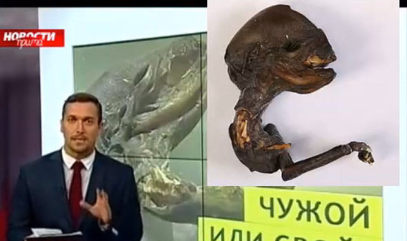 В Красноярском крае нашли останки неопознанного существа