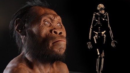 Антропологи официально представили новый древний вид человека