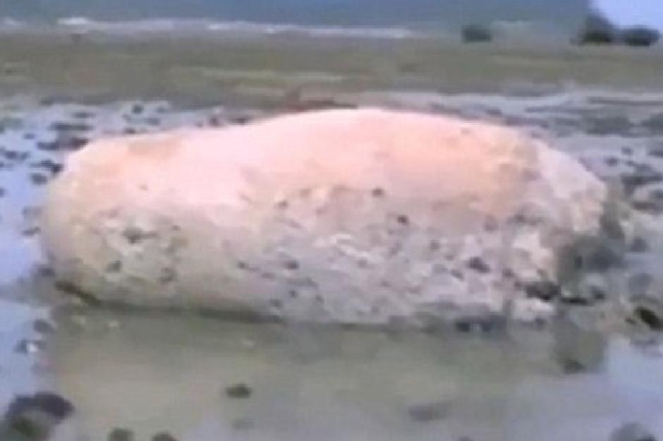 В Японии цунами вынесло на берег то ли камень, то ли останки кита