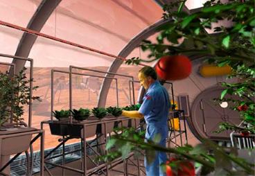 Как наладить сельское хозяйство на Марсе