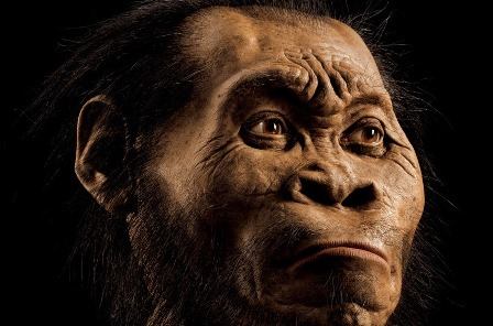 Версии: Homo naledi был деградировавшим человеком и предком обезьян?
