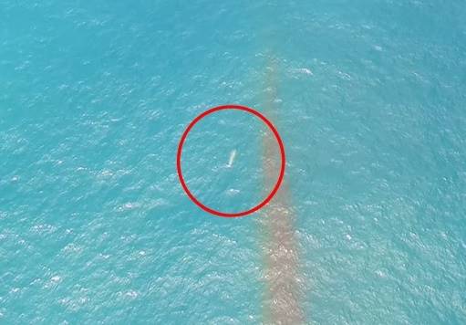 Дрон заснял скоростной НЛО у берегов Чили