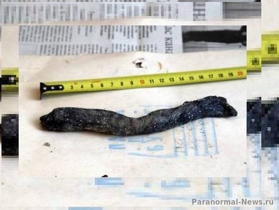 В Казахстане изучают странного червя из кокона