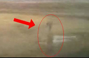 Дальнобойщики засняли на видео пришельца, похожего на кыштымского Алешеньку