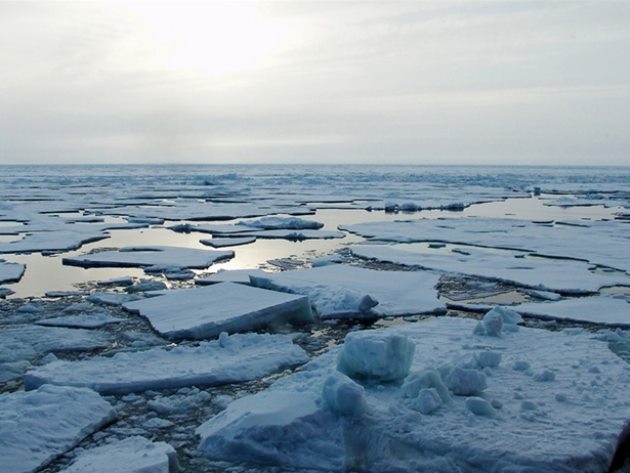 Этим летом скорость таяния арктических льдов может стать рекордной