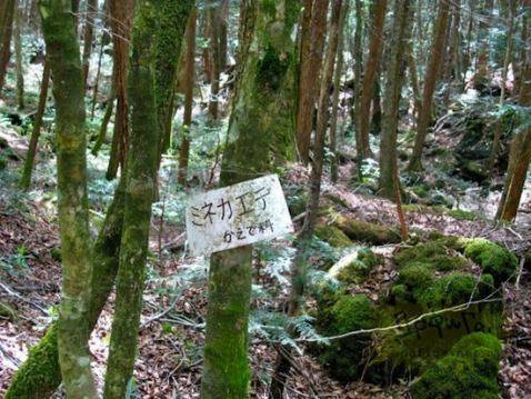Призраки японского леса самоубийц