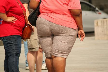 Ожирение - Глобальная проблема человечества