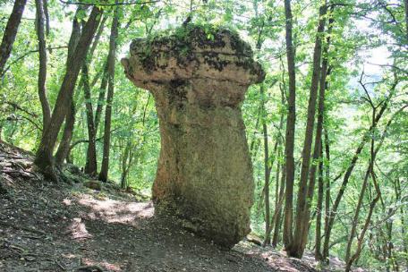 Уникальные каменные грибы