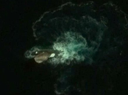 Карты Google вероятно засняли огромного 30-метрового кальмара
