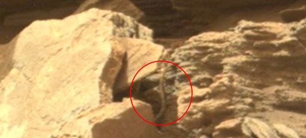 На фото с Марса нашли 