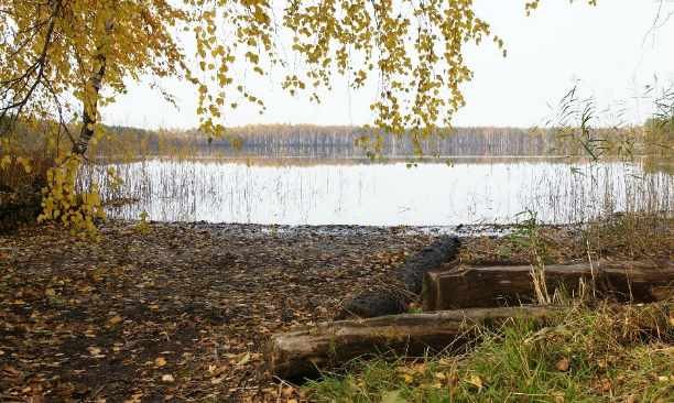 Озеро Малое Плотово: На нем регулярно появляется и пропадает таинственный остров