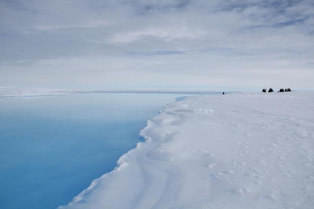 Из-за глобального потепления в Антарктиде возникли 