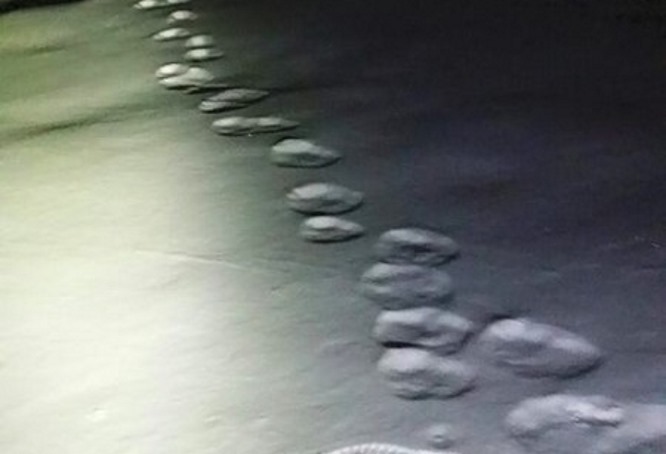 В горах Крыма обнаружены огромные следы. Снежный человек?