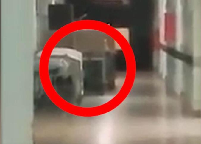 В аргентинской больнице видели и засняли призрак ребенка