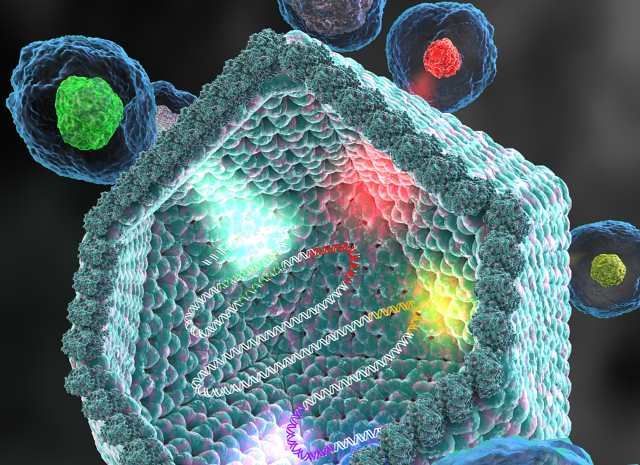 Учеными открыт новый гигантский и сложный вирус