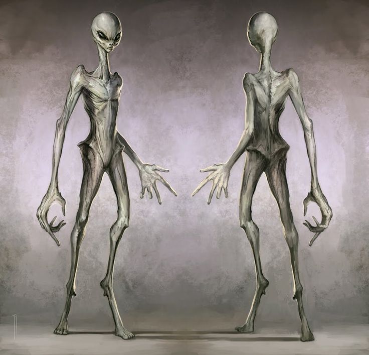 Подробности внешности гуманоидных инопланетян