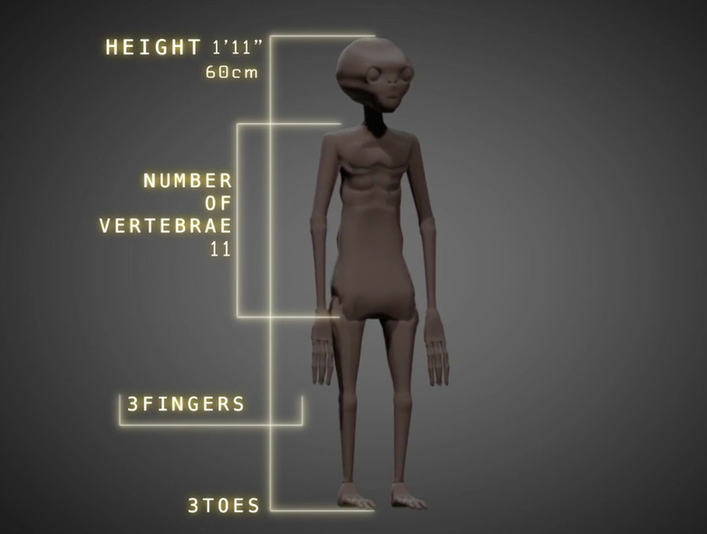 В Перу найдена мумия настоящего инопланетянина? S63127050