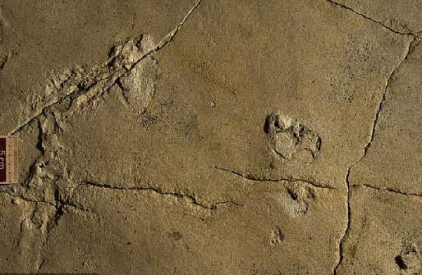 На Крите нашли человеческие следы возрастом в 5,7 млн лет, хотя в это время предки людей еще жили в Африке