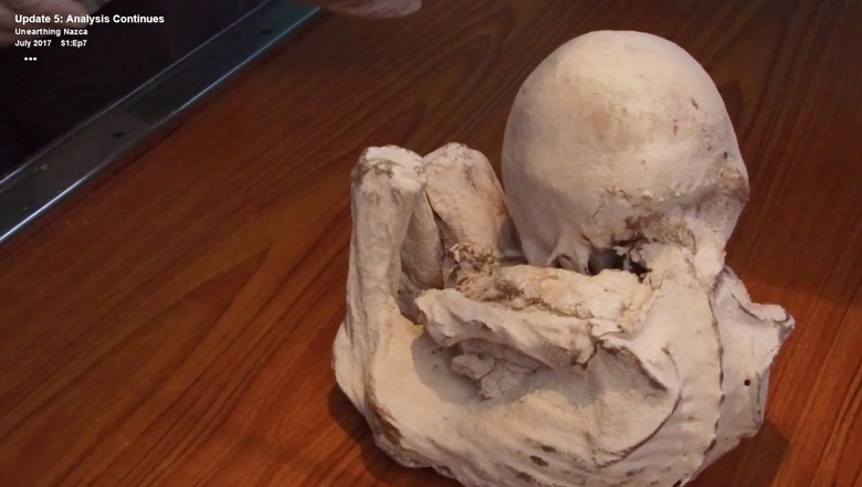 В Перу найдена мумия настоящего инопланетянина? S79250449