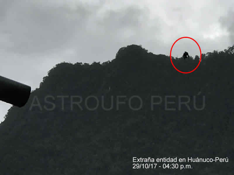Житель Перу заснял взлетающее черное существо 