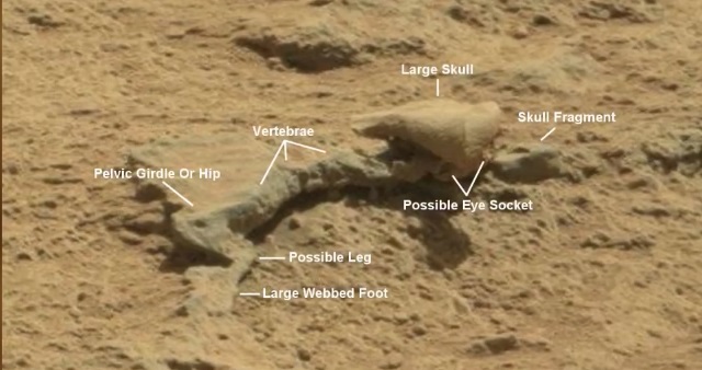 "Виртуальные археологи" нашли на Марсе чей-то скелет и объект, похожий на "материнский корабль" 