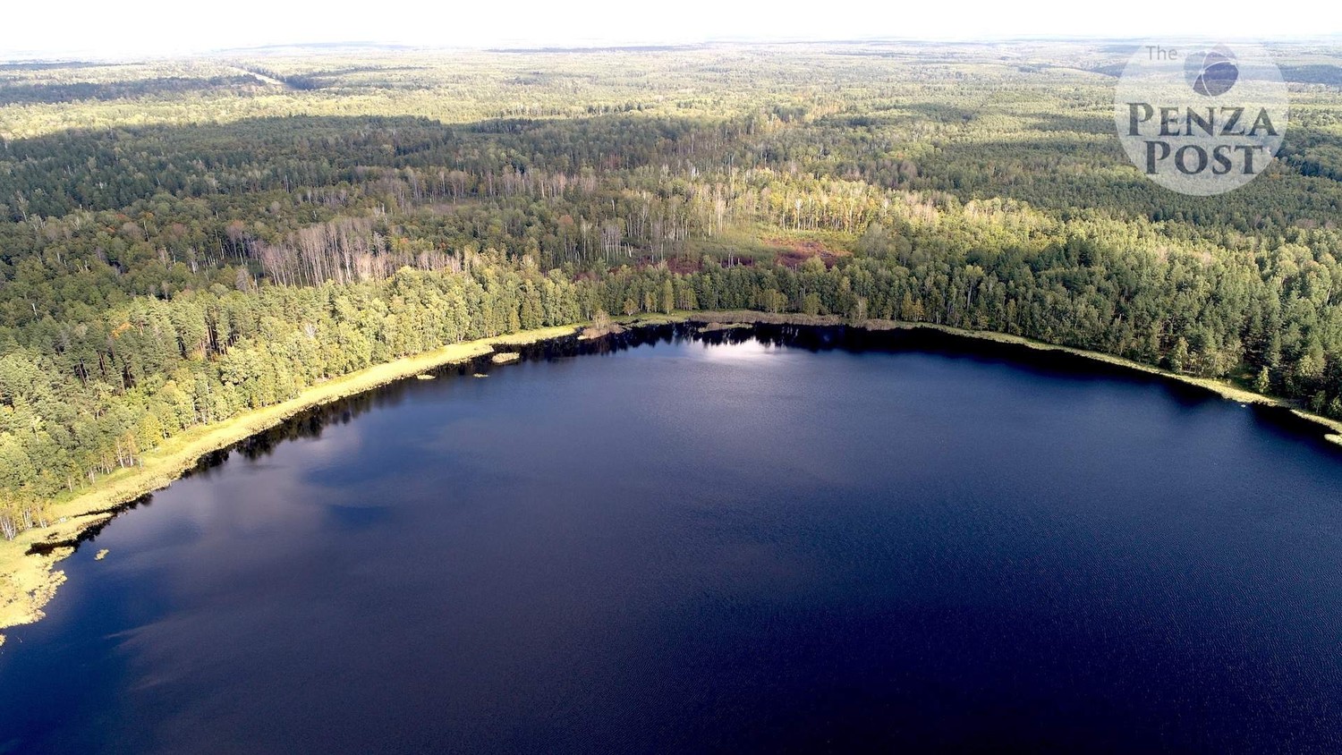 Рассказ пензенского уфолога: "Огромный НЛО сел в лесу, а на его месте образовалось круглое озеро" 