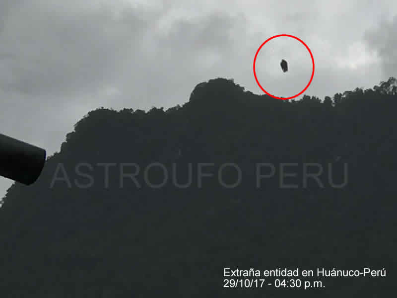 Житель Перу заснял взлетающее черное существо 