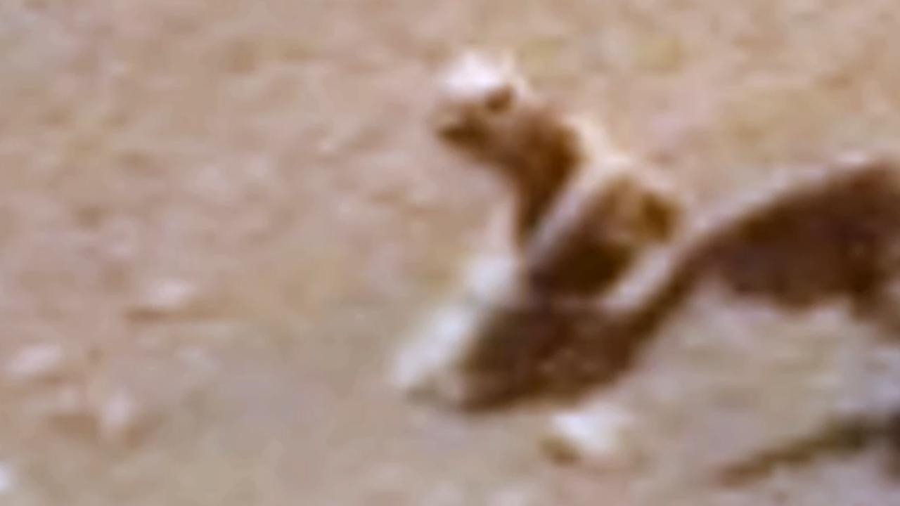 Странный марсианский камень похож на голову робота или Дарта Вейдера 