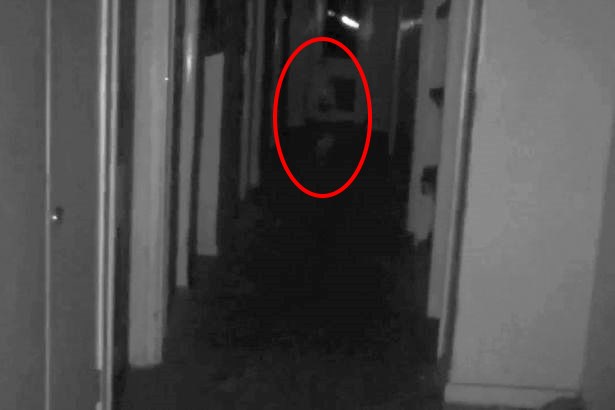 "Охотники за привидениями" засняли призрак ребенка, идущего по коридору заброшенной усадьбы 