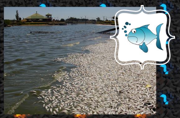 На берег Аргентины внезапно выбросило тысячи рыб