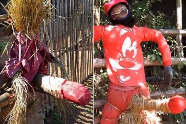 В тайской деревне для отпугивания злого призрака женщины используют чучела с огромными мужскими органами