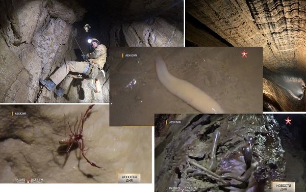 Российские спелеологи 2 недели спускались в самую глубокую пещеру мира и нашли на дне новые живые организмы
