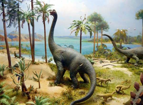 Наблюдения живых динозавров в Южной Америке