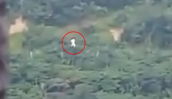 В Малайзии мальчик заснял на видео странную белую летающую 