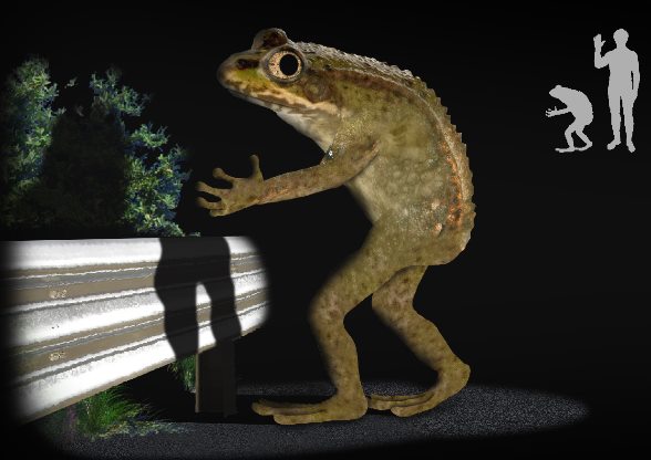 Странных прямоходящих жаб с 1955 года видят в окрестностях Огайо