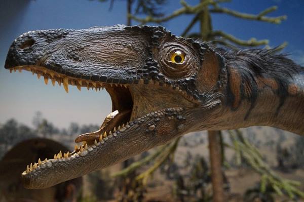 Динозавры, а затем и люди появились на Земле лишь благодаря слепой случайности