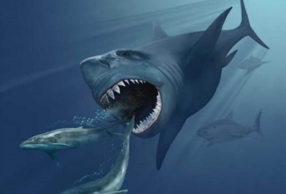 Гигантская акула мегалодон сеяла ужас в мировом океане