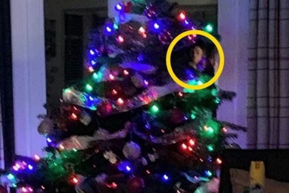 Призрак спрятался за рождественской елью