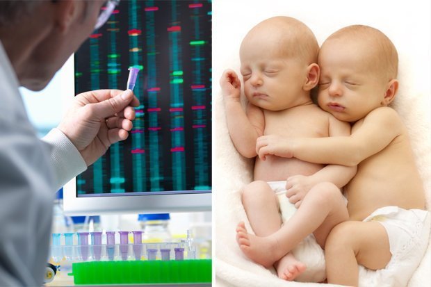 В Китае родились первые в мире генно-модифицированные младенцы