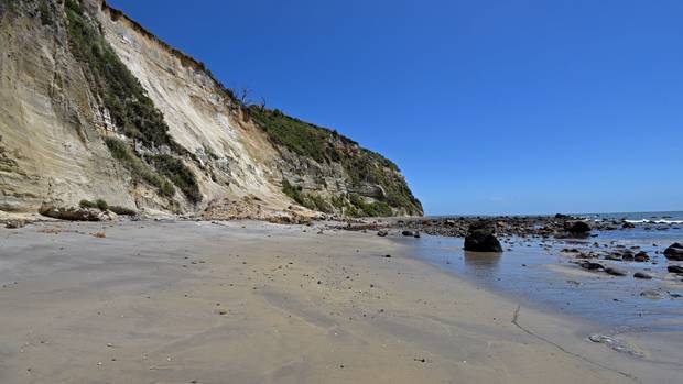 В Новой Зеландии на пляже нашли множество костей взрослых и детей