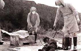 В японских школах нашли вероятные останки жертв изуверов из Отряда 731