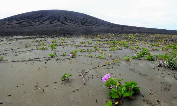 На новом острове ученые обнаружили таинственную грязь