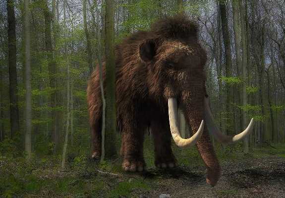 Виноваты болота? Ученые выдвинули новую версию гибели мамонтов и шерстистых носорогов