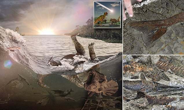 В США нашли «братскую могилу» животных, которых убил метеорит, погубивший динозавров