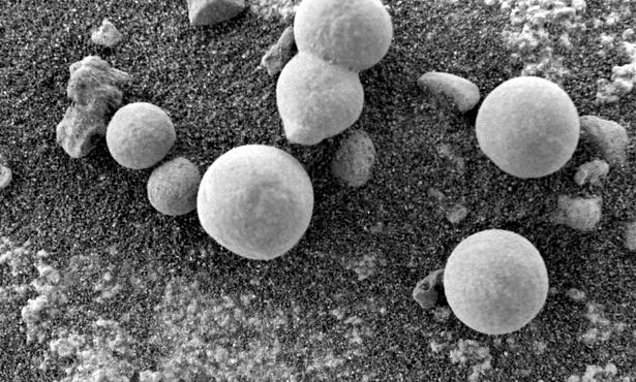 На Марсе растут грибы, заявляют ученые